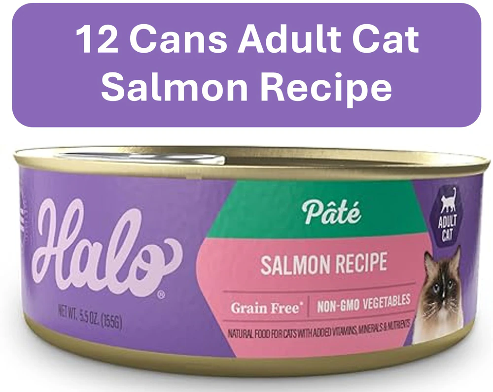 Halo Adult Cat Wet Food Pate Grain-Free Salmon Recipe -- 5.5 oz Each / Pack of 12