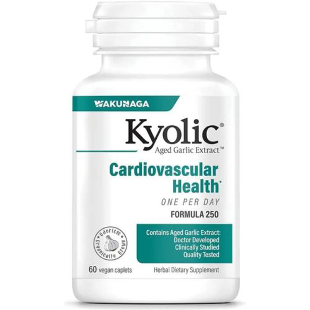 Kyolic Aged Garlic Extract? One Per Day Cardiovascular -- 1000 mg - 60 Caplets