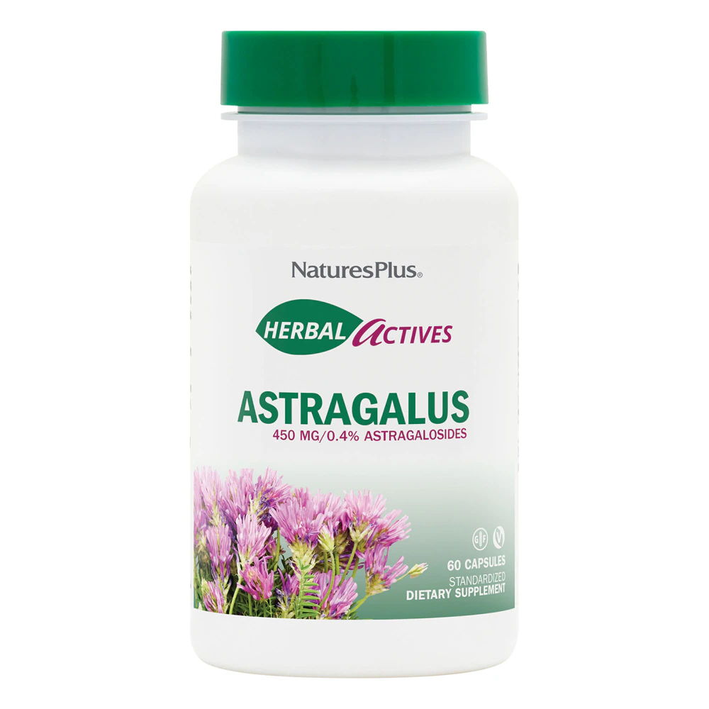 NaturesPlus Herbal Actives Astragalus -- 450 mg - 60 Vegetarian Capsules