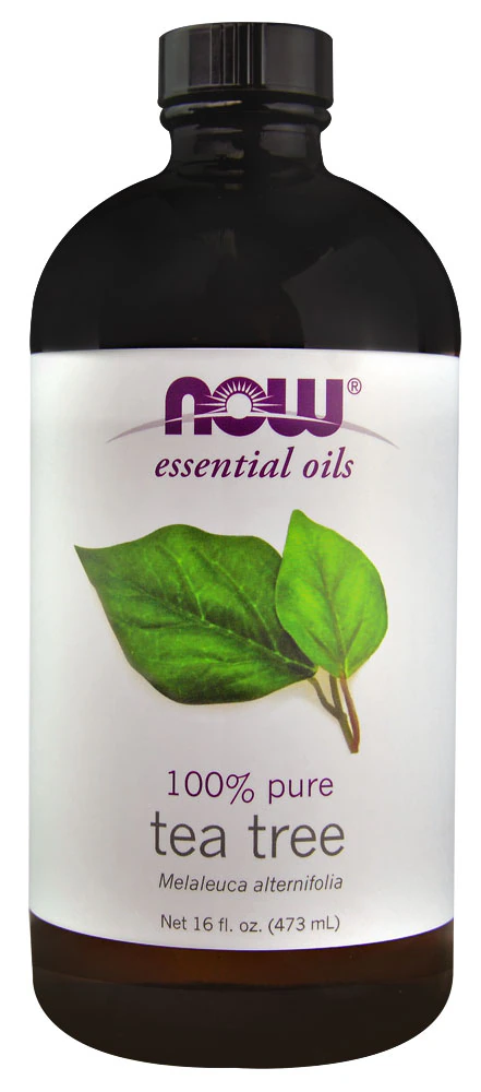 NOW Essential Oils 100% Pure Tea Tree -- 16 fl oz