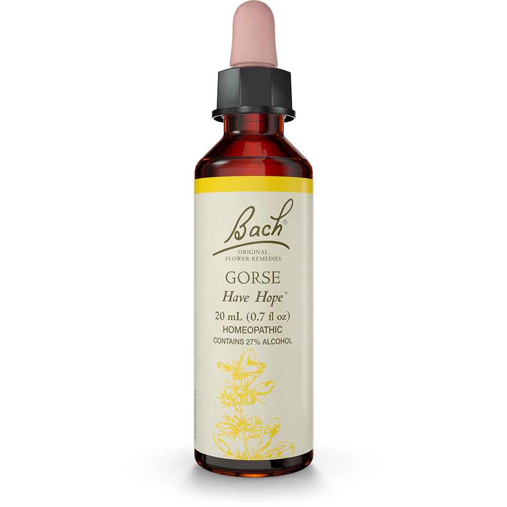 Bach Original Flower Remedy Dropper Gorse Flower Essence -- 0.7 fl oz
