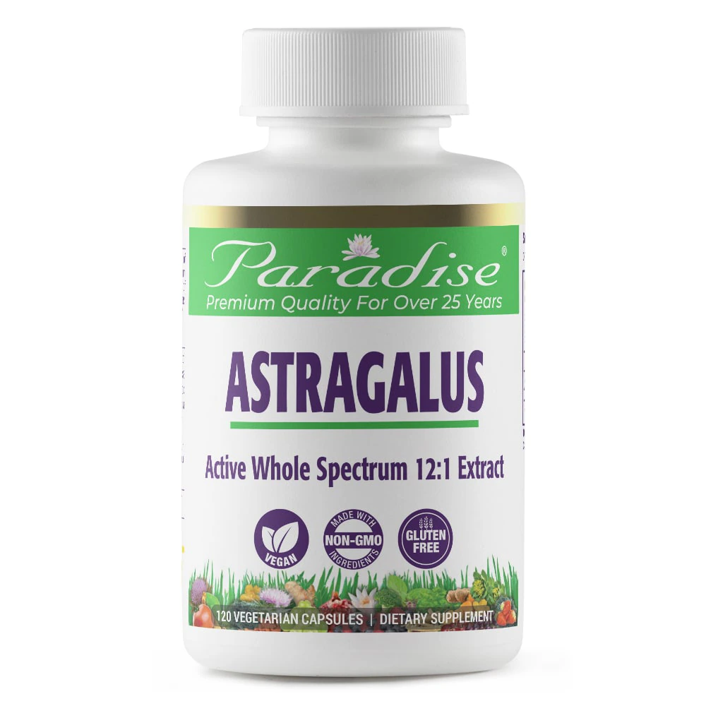 Paradise Herbs Astragalus -- 120 Vegetarian Capsules