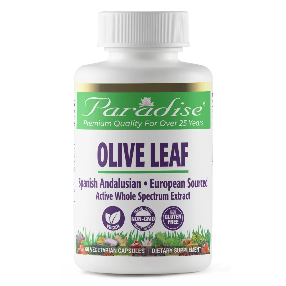 Paradise Herbs Olive Leaf -- 60 Vegetarian Capsules