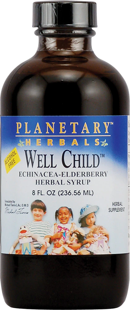 Planetary Herbals Well Child Echinacea-Elderberry Herbal Syrup -- 8 fl oz
