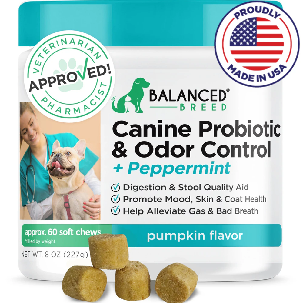 Balanced Breed Canine Probiotics & Odor Control + Peppermint Vet Pharmacist Approved Pumpkin -- 2 billion CFU - 60 Soft Chews
