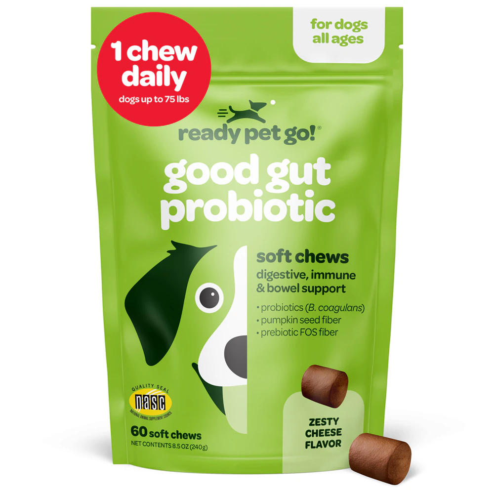 Ready Pet Go! Good Gut Probiotic for Dogs Zesty Cheese -- 60 Soft Chews