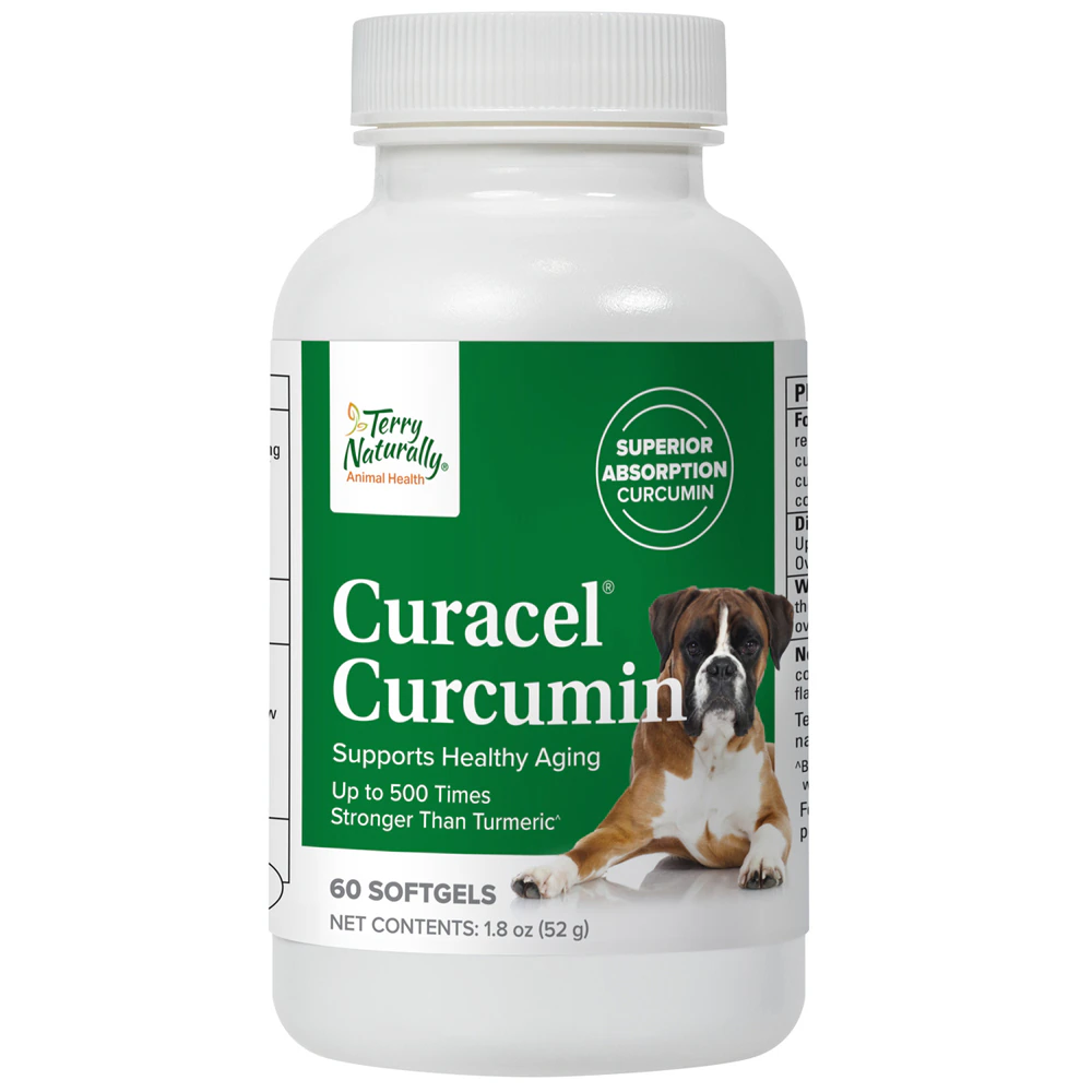 Terry Naturally Animal Health Dog Curacel Curcumin Healthy Aging -- 60 Softgels