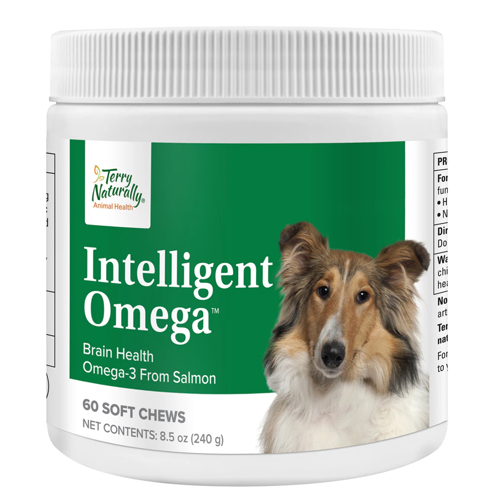 Terry Naturally Animal Health Dog Intelligent Omega Brain + Eye Health -- 60 Soft Chews