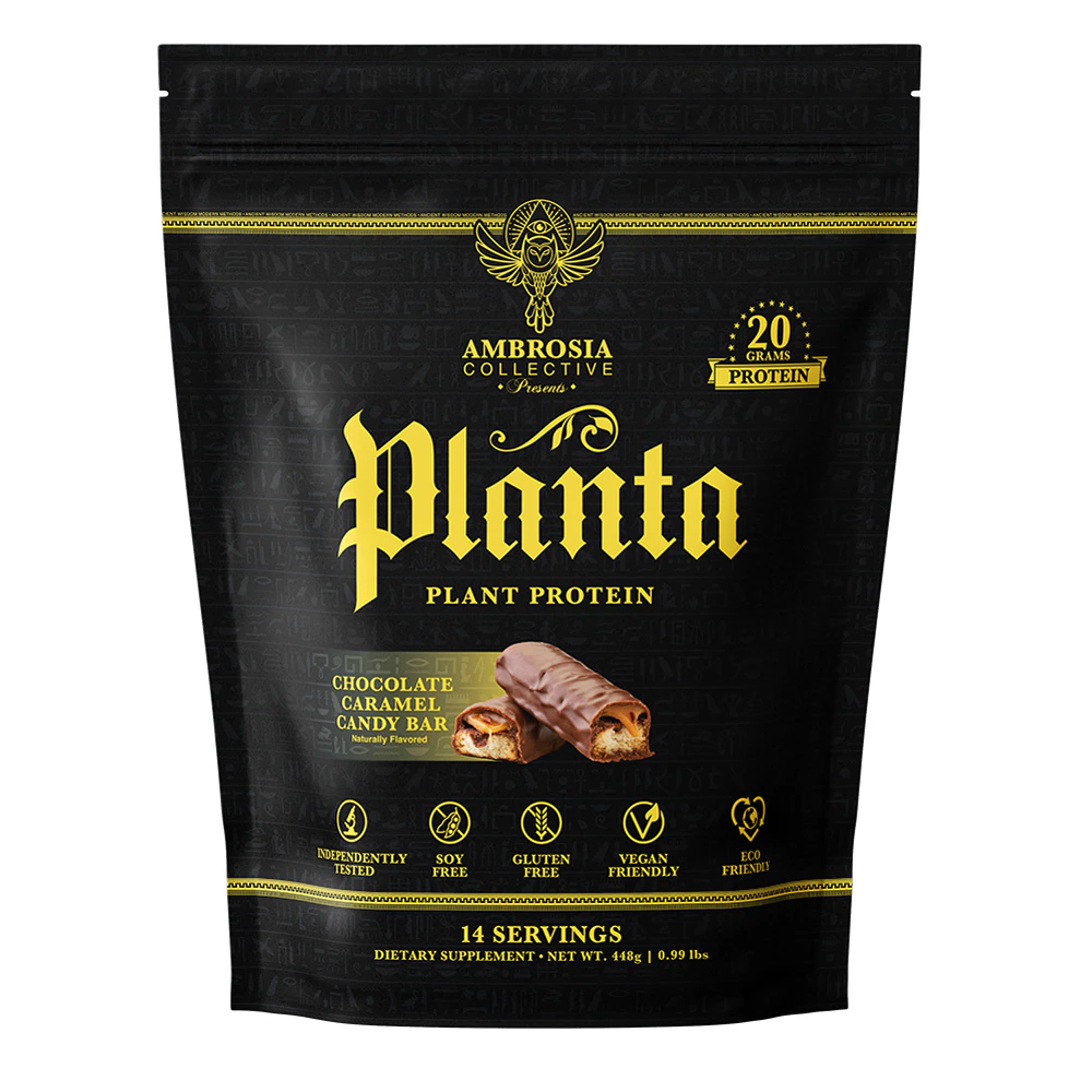 Ambrosia Planta Plant Protein Chocolate Caramel Candy Bar -- 14 Servings